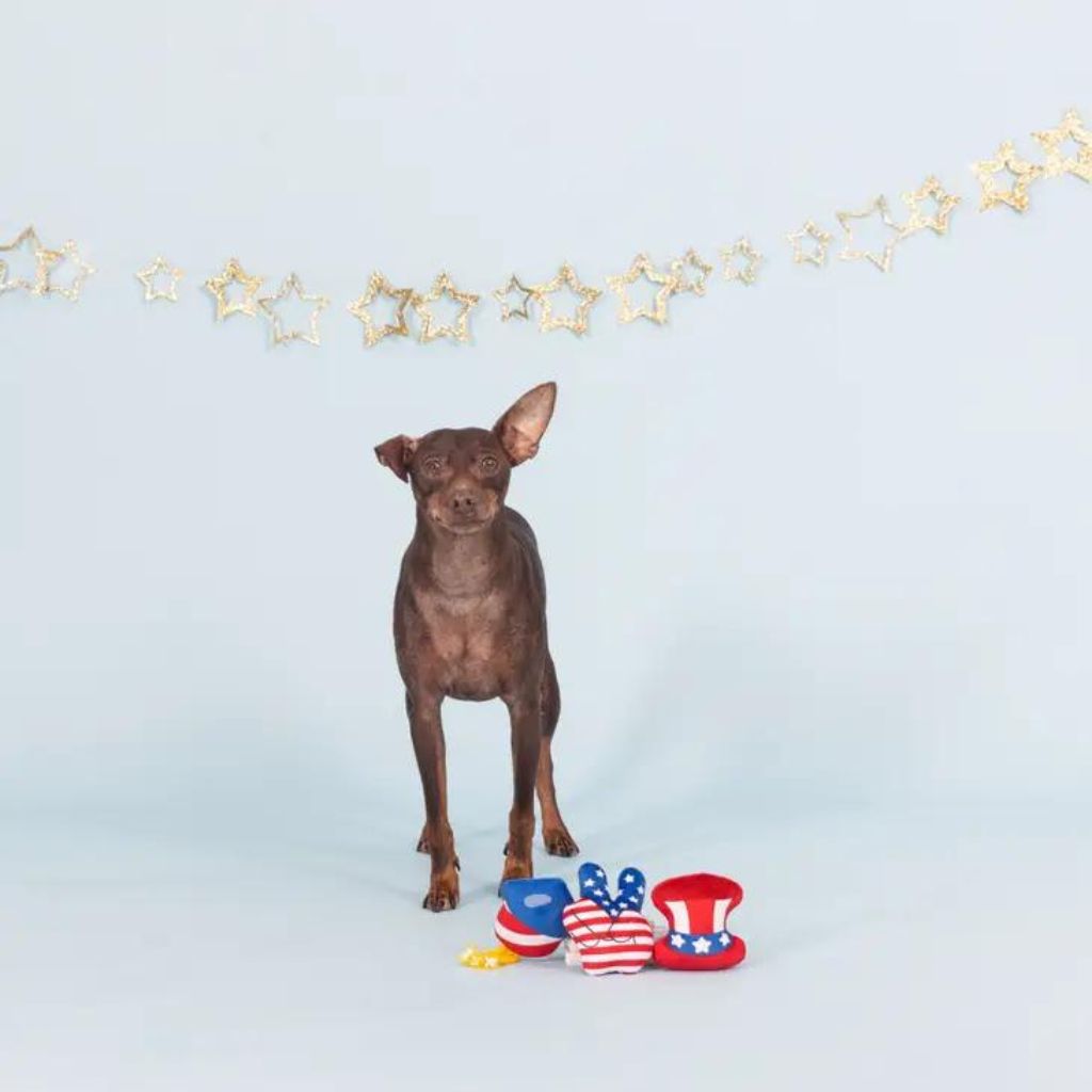 Petshop by Fringe Studio - Born in the USA Dog Toys