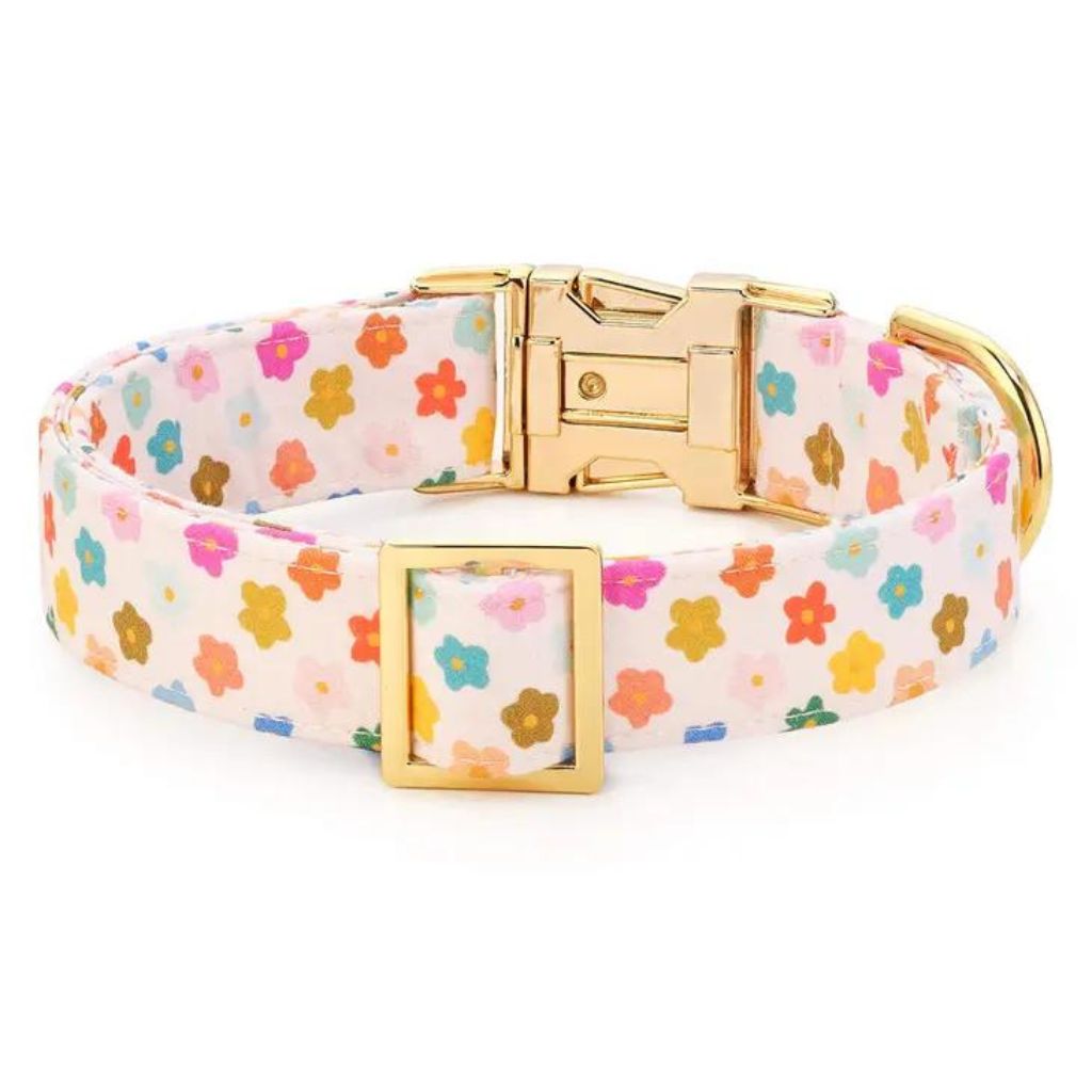 Rainbow Flower Dog Collar