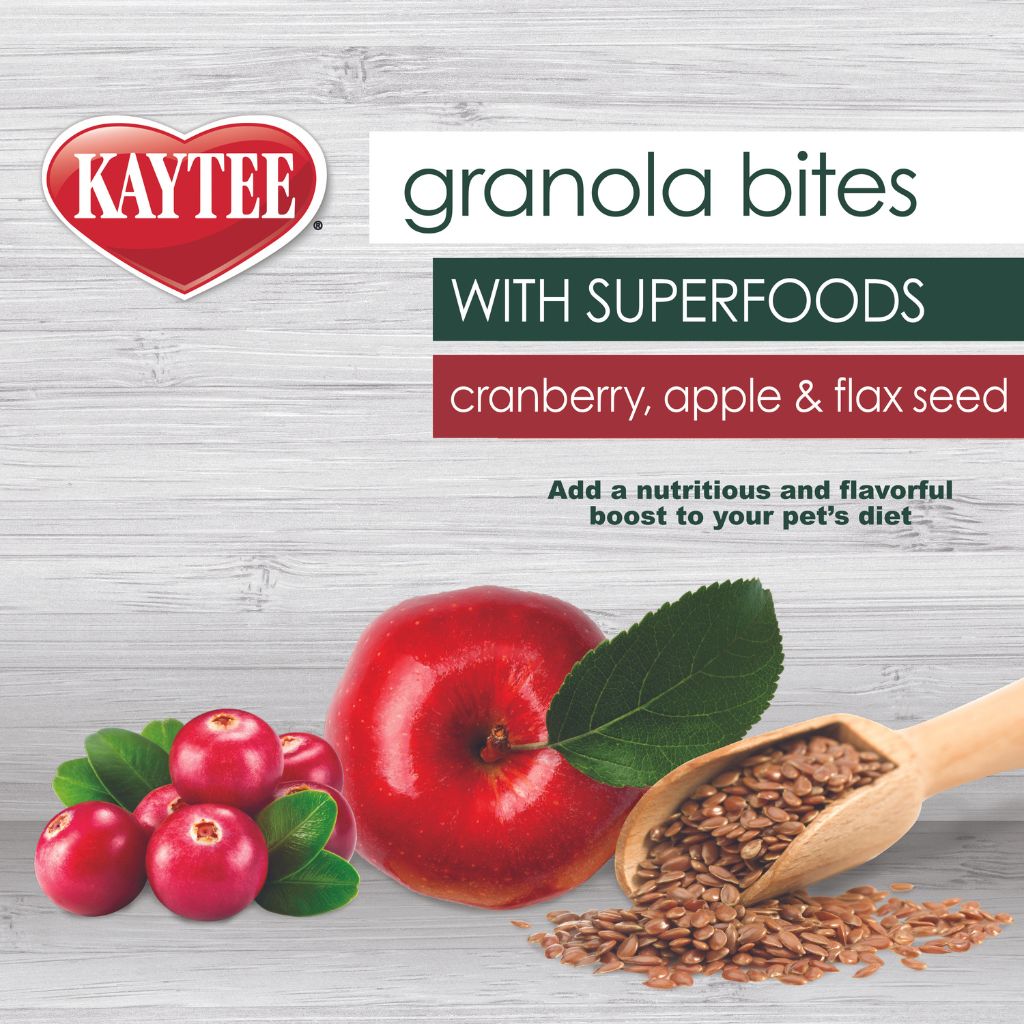 Kaytee - Granola Bites Cranberry, Apple & Flax Seed w/ Superfoods