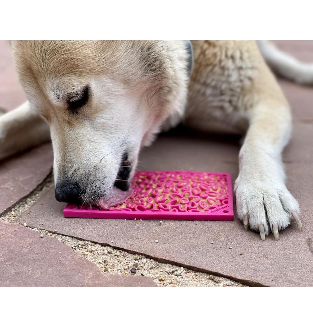 Enrichment Dog Lick Mat - Flower Power Design