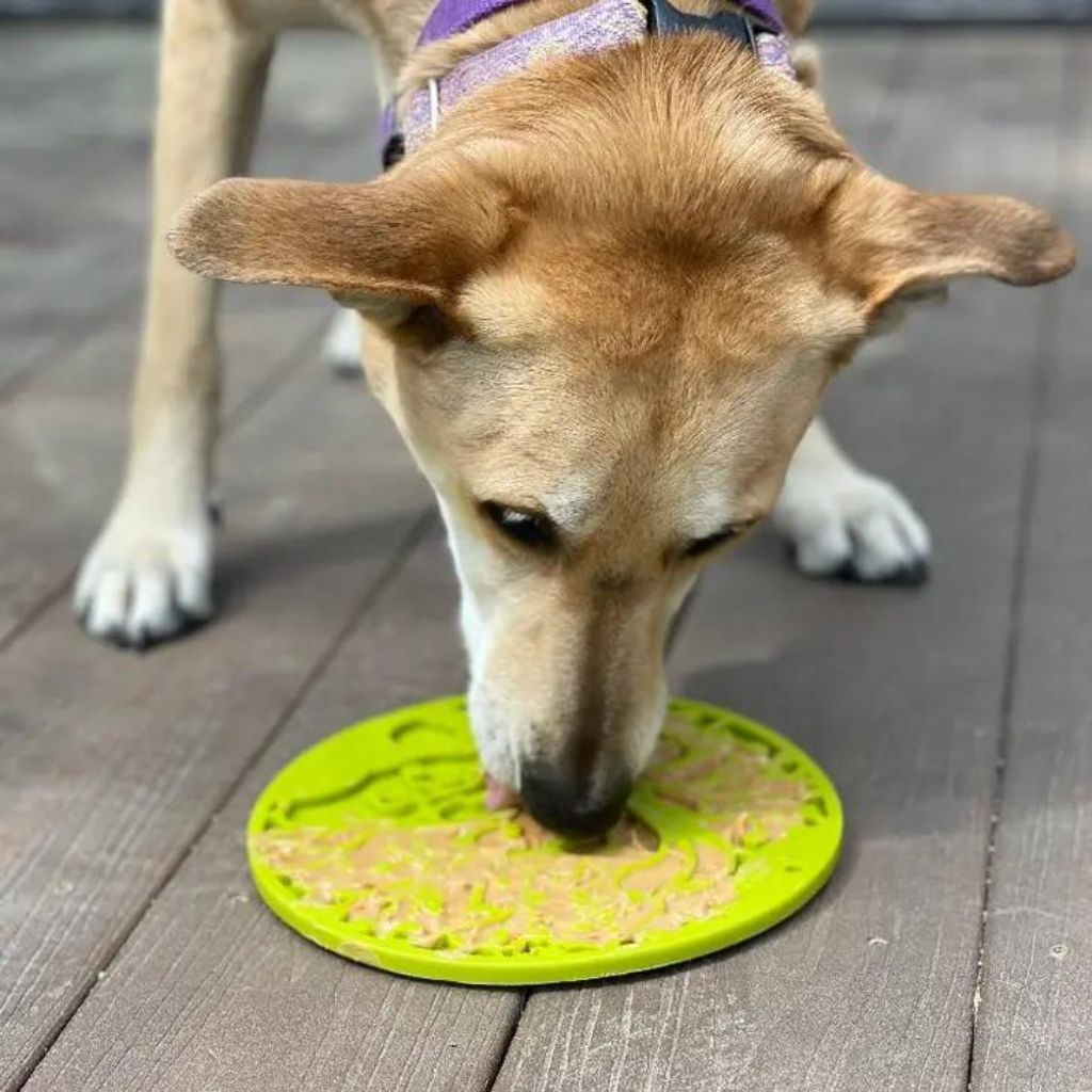 Enrichment Dog Lick Mat - Tree of Life Design