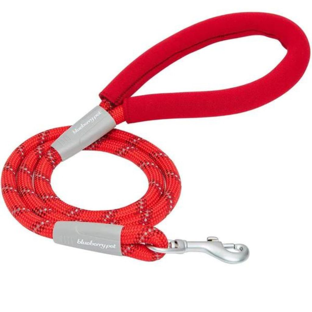 Neoprene Handle Rope Dog Leash in Diagonal Stripe