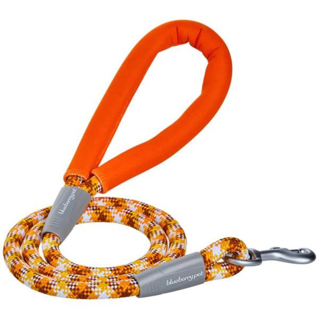 Neoprene Handle Rope Dog Leash in Diagonal Stripe