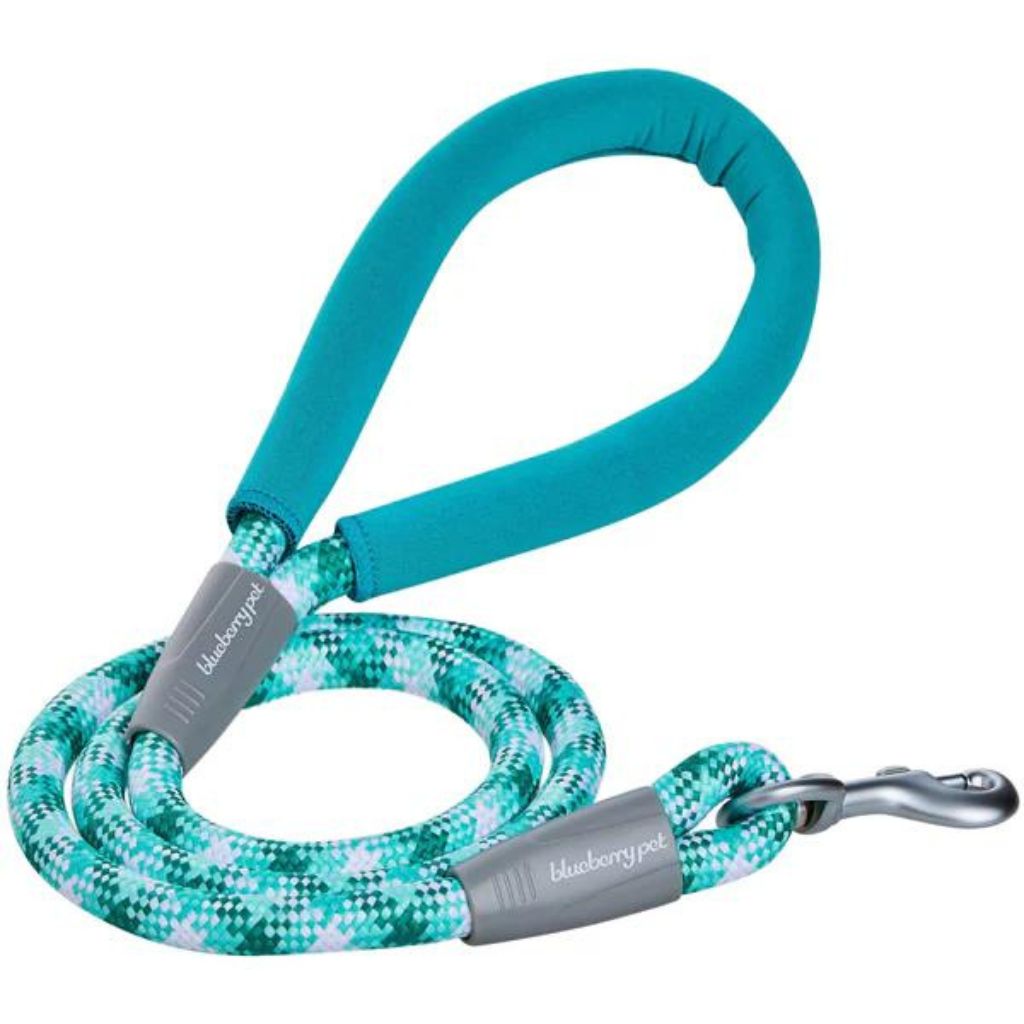 Neoprene Handle Rope Dog Leash in Diagonal Stripe