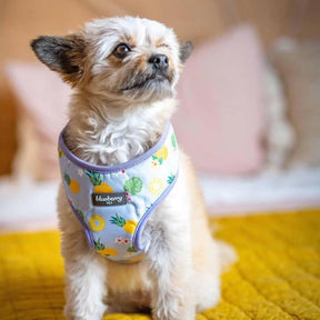 Pineapple | Zesty Fruit Dog Harness Vest