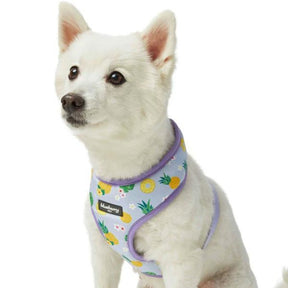 Pineapple | Zesty Fruit Dog Harness Vest