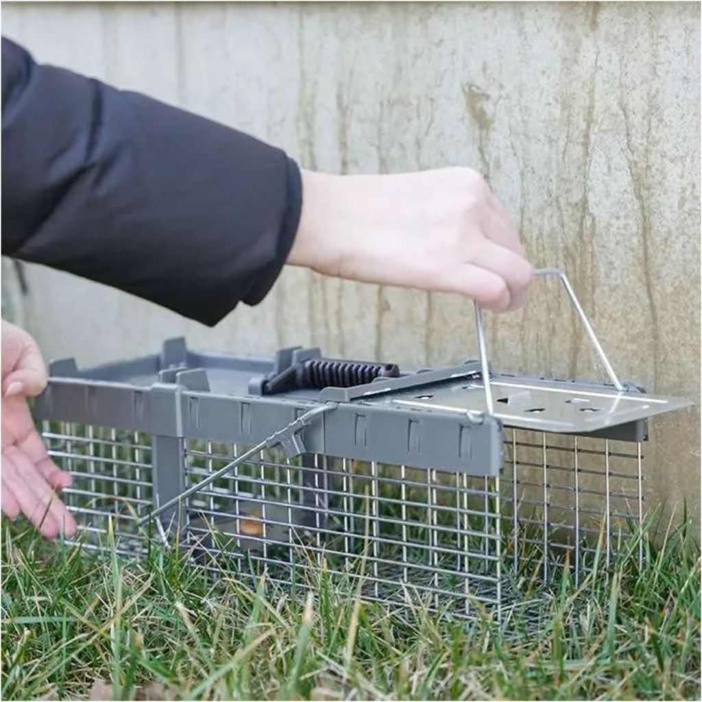 Havahart Small - One Door Live Animal Trap