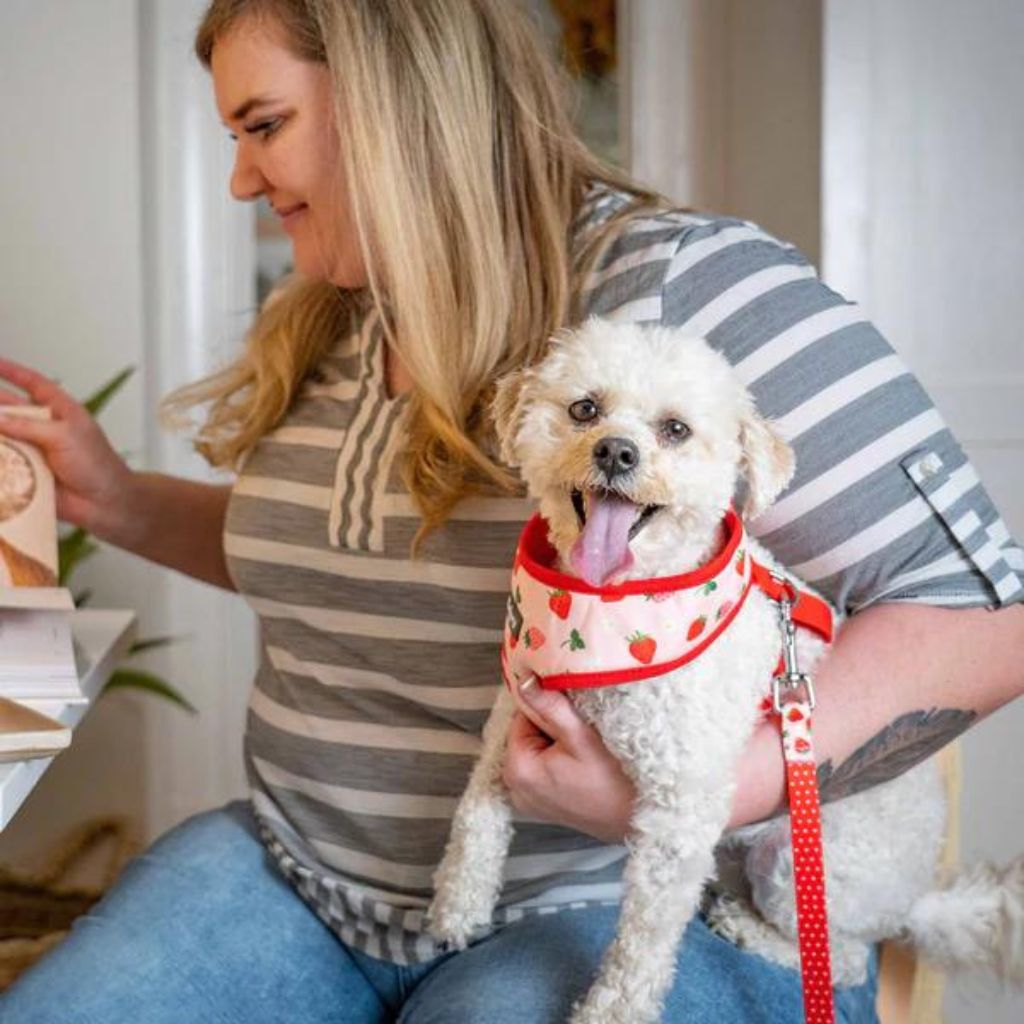 Harvesting Strawberry | Zesty Fruit Dog Harness Vest