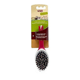 Living World Porcupine Brush