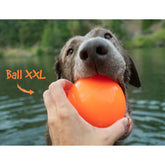 RuffDawg - Ball Solid Rubber Retrieving Toy