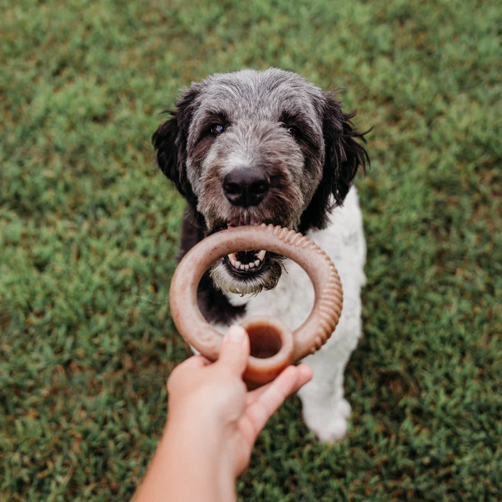 Ring Nylon Chew Toy Bacon