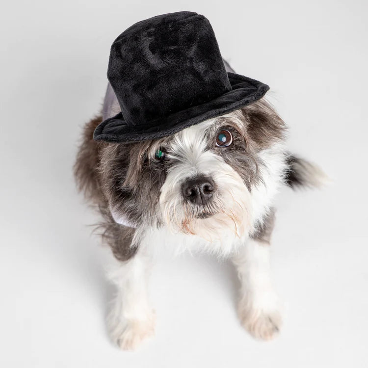 Black Velvet Top Hat Costume