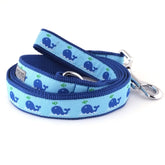 Dog Lead Squirt Blue