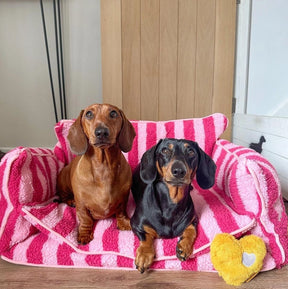 Dog Bed Sofa Striped Pretty Pink