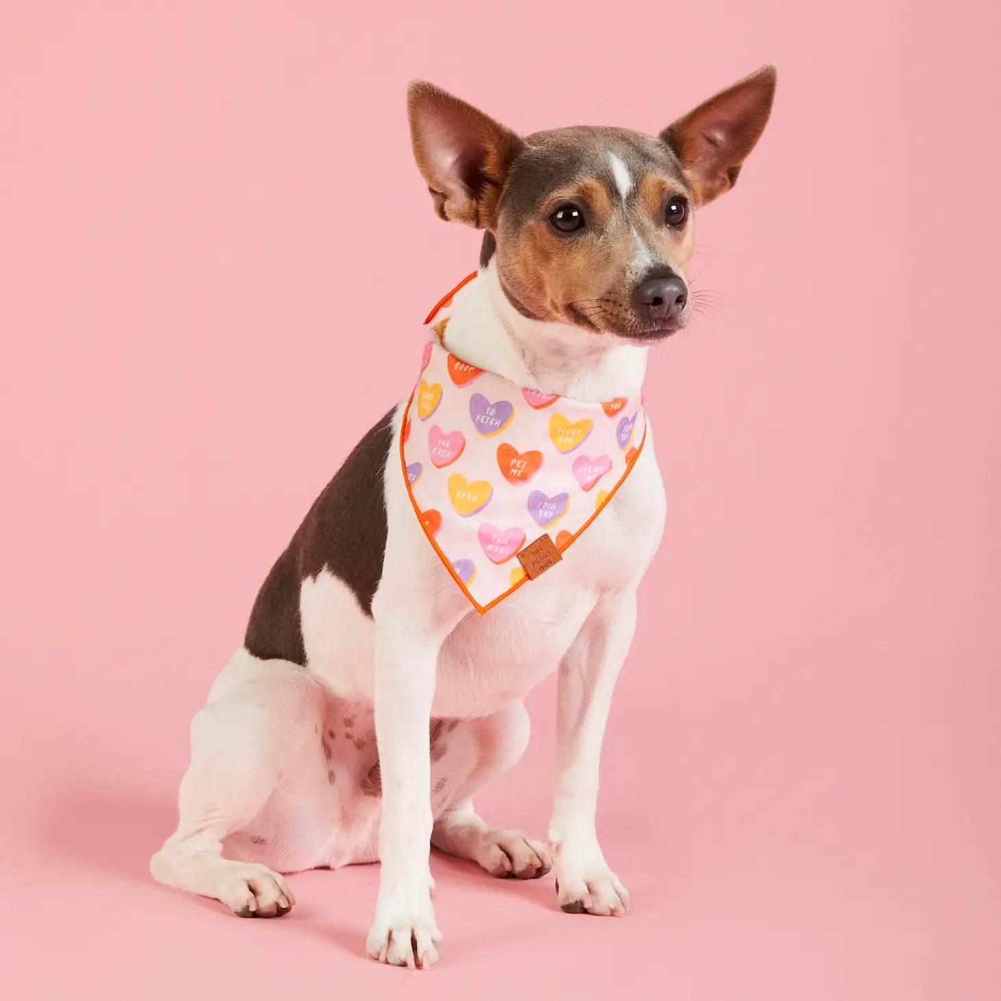 Bandana Dog Candy Hearts