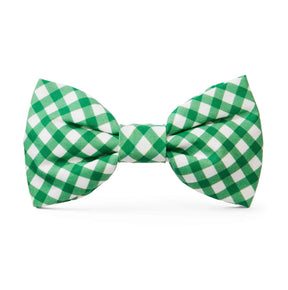 Dog Bowtie Grass Gingham