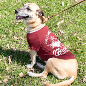 Dog Tee Long Live Cowboys Maroon