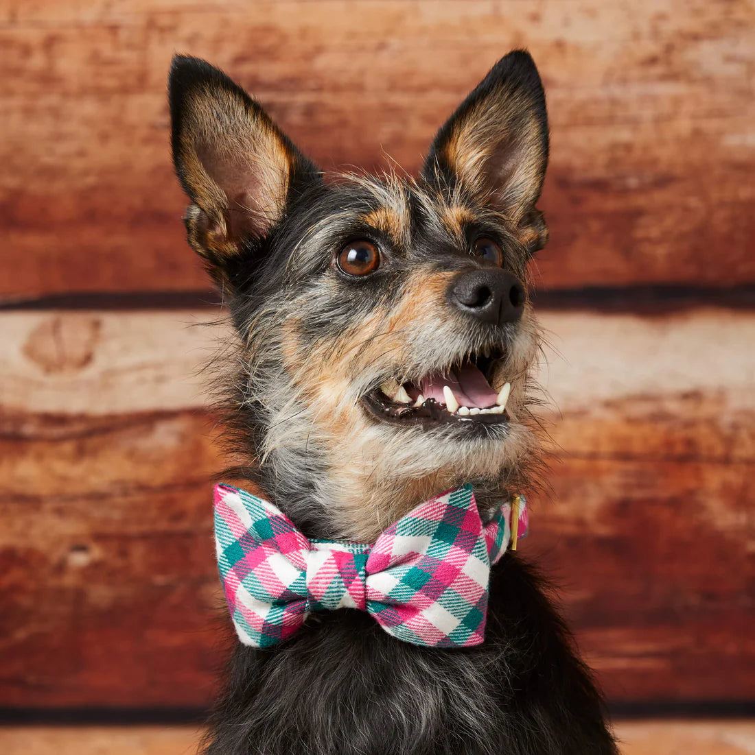 Dog Bow Tie Callie Plaid Flannel