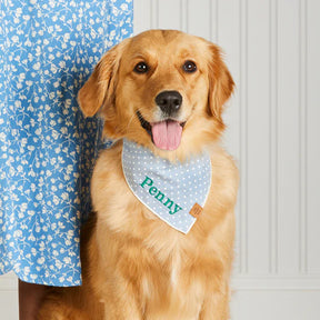 Bandana Dog Chambray Dots