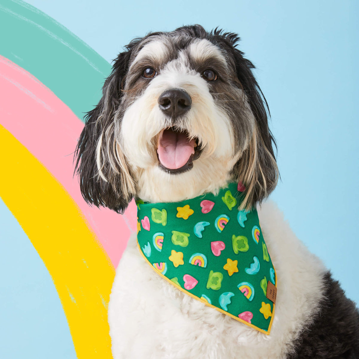 Bandana Dog Charmed St. Patrick's Day