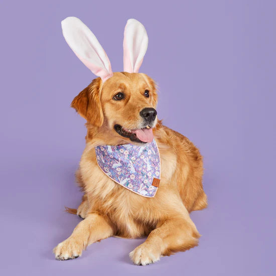 Bandana Dog Bunny Meadow