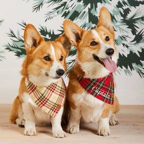 Bandana Dog Holiday Eggnog Plaid Flannel