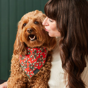 Dog Bandana Rifle Co x TFD Mistletoe