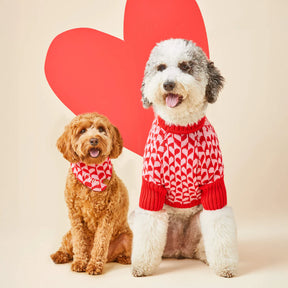 Dog Sweater Heart Stripe