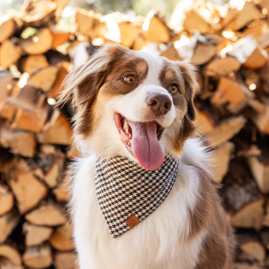 Bandana Dog Houndstooth Flannel Fall