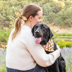 Bandana Dog Goldenflowers