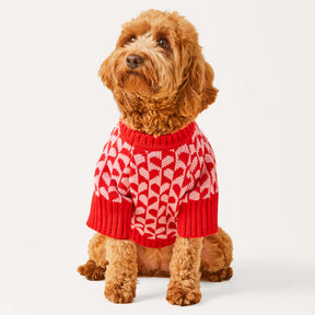 Dog Sweater Heart Stripe