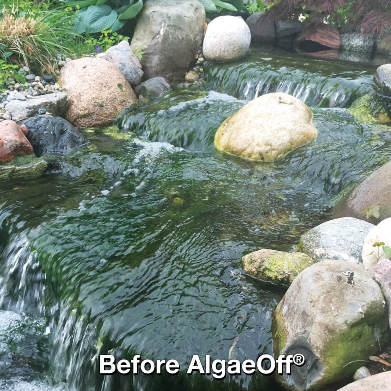 Crystal Clear Pond - Algae Off Granular Algaecide