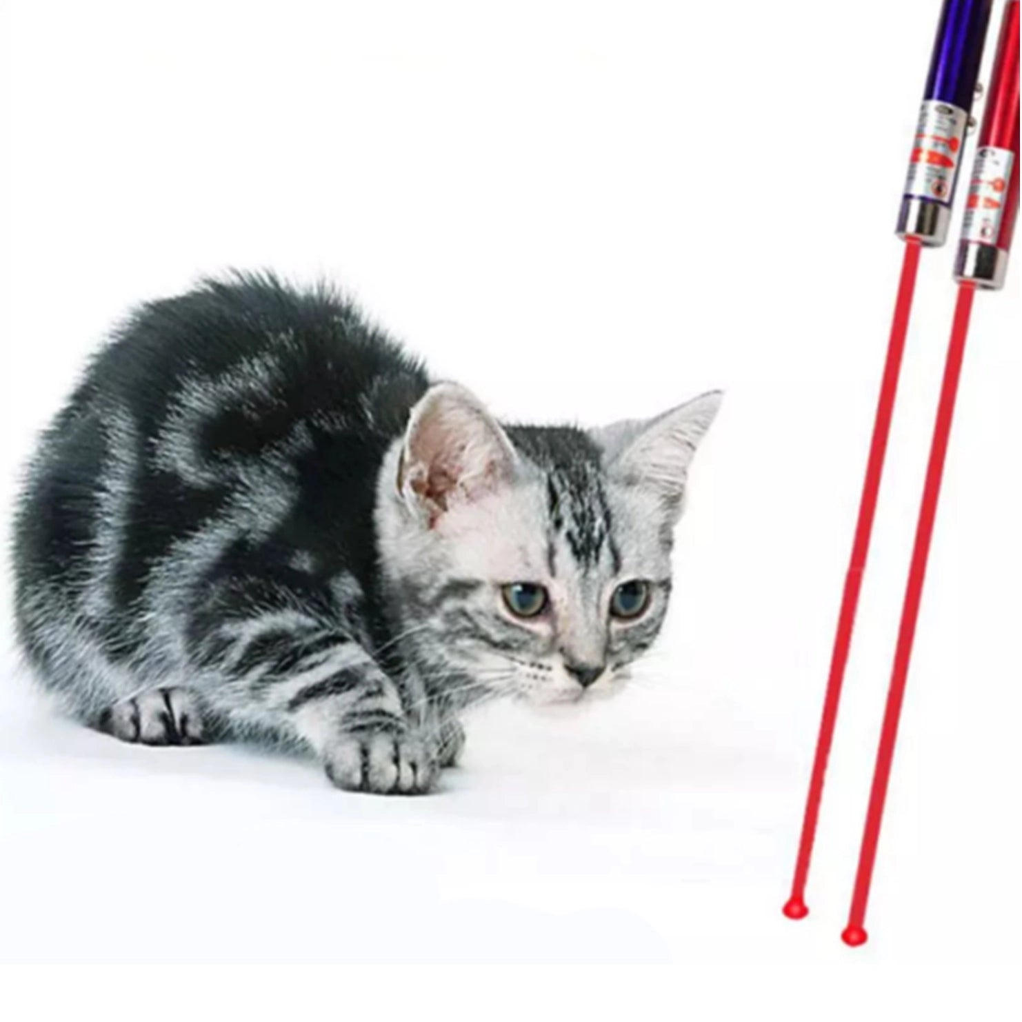 Cat Toy Laser Pointer