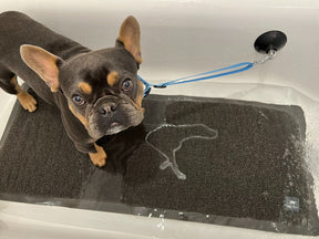 Bath Leash with Suction Cup