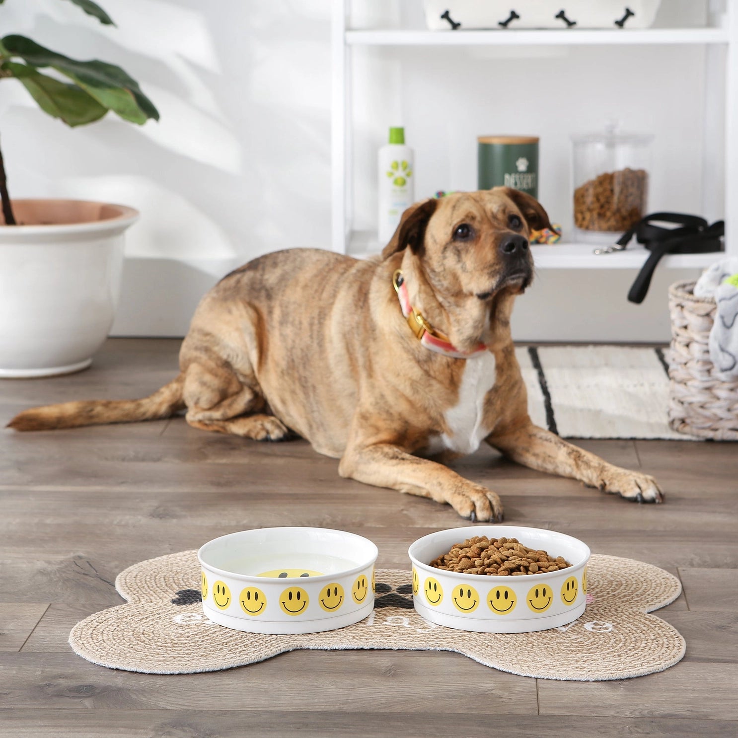 Bone Dry - Smiley Face Large Pet Bowl