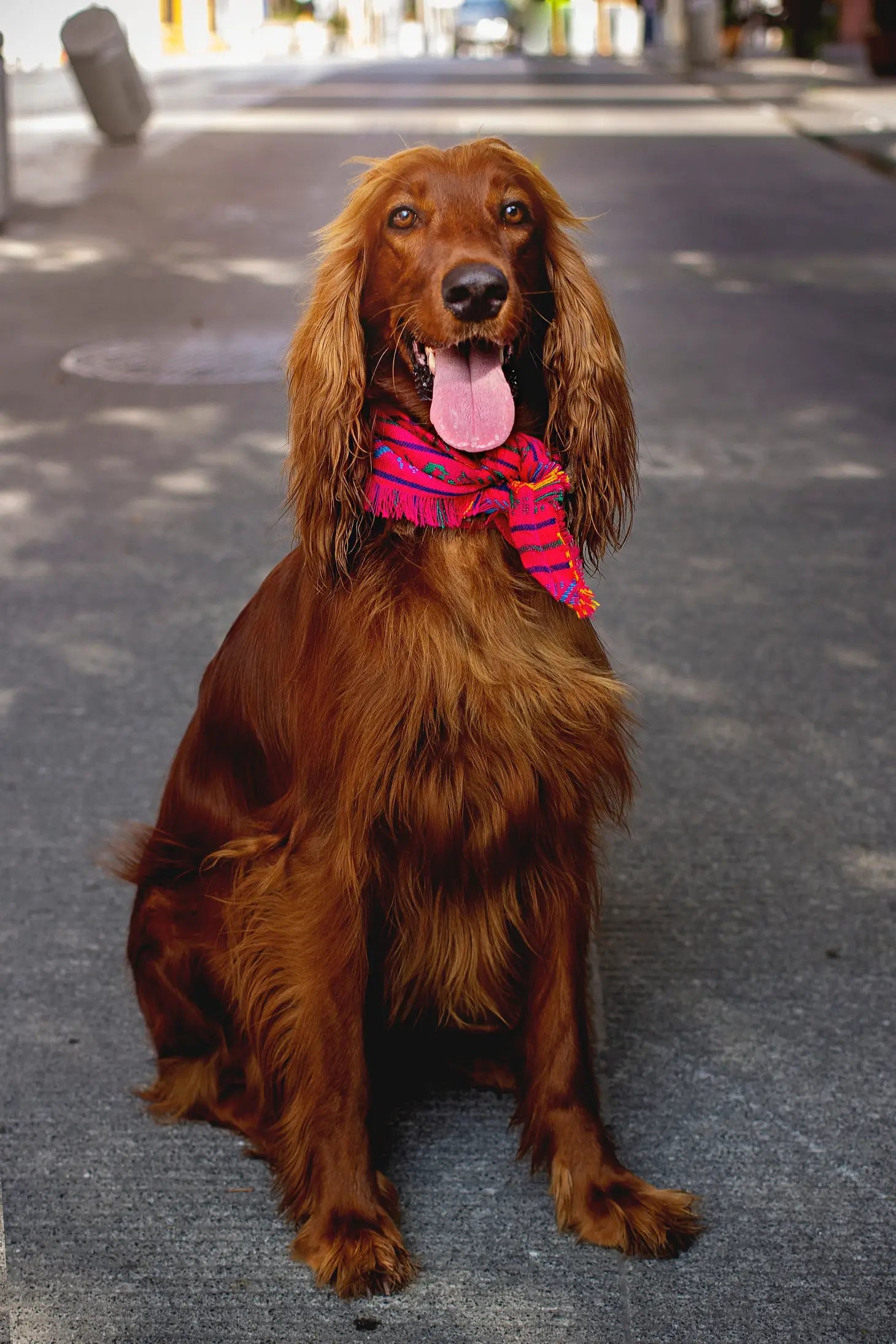 Mom and Pup Co. - Bandana & Scrunchy Matching Orange Aztec