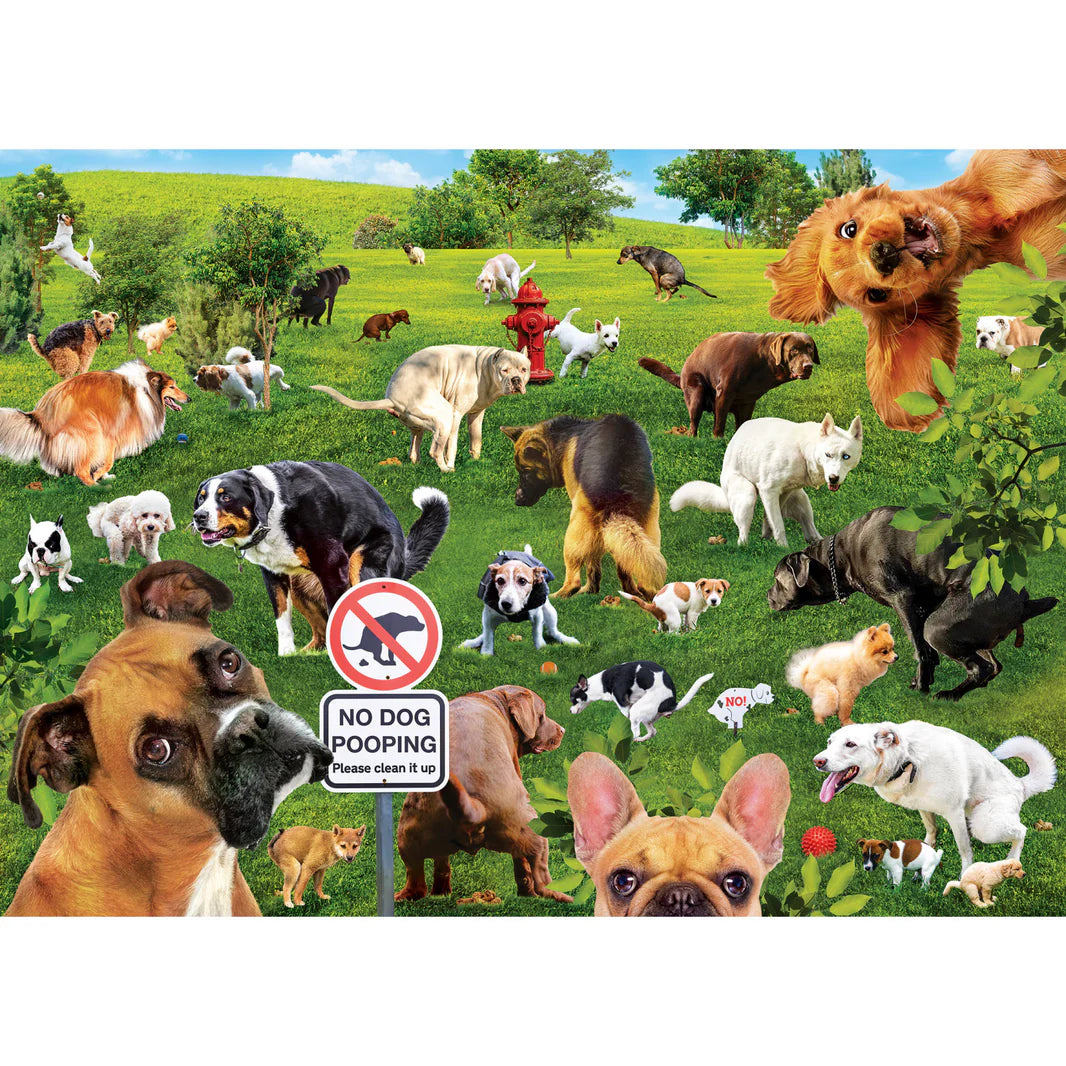 Super Dooper Poopers - 1000 Piece Jigsaw Puzzle