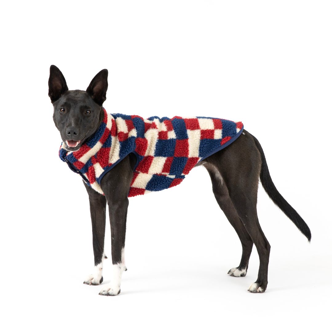 Fab Dog - Fab Ski Sherpa Vest Navy