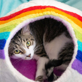 Friendsheep - Rainbow Eco Kitty/Cat Cave