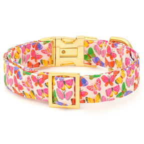 Dog Collar Bright Butterflies