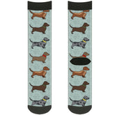 Buckle Down - Dachshund Crew Socks