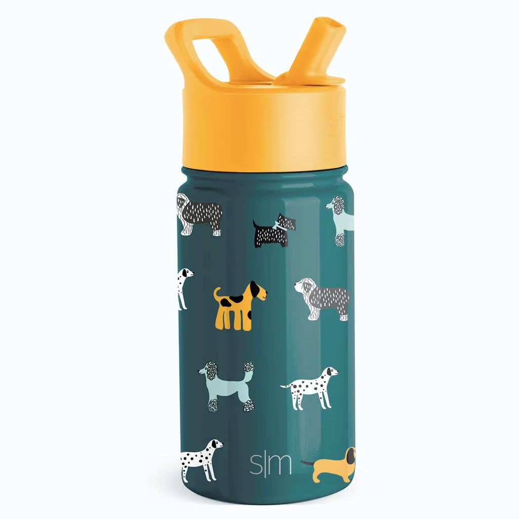 Simple Modern - Summit Kids Water Bottle