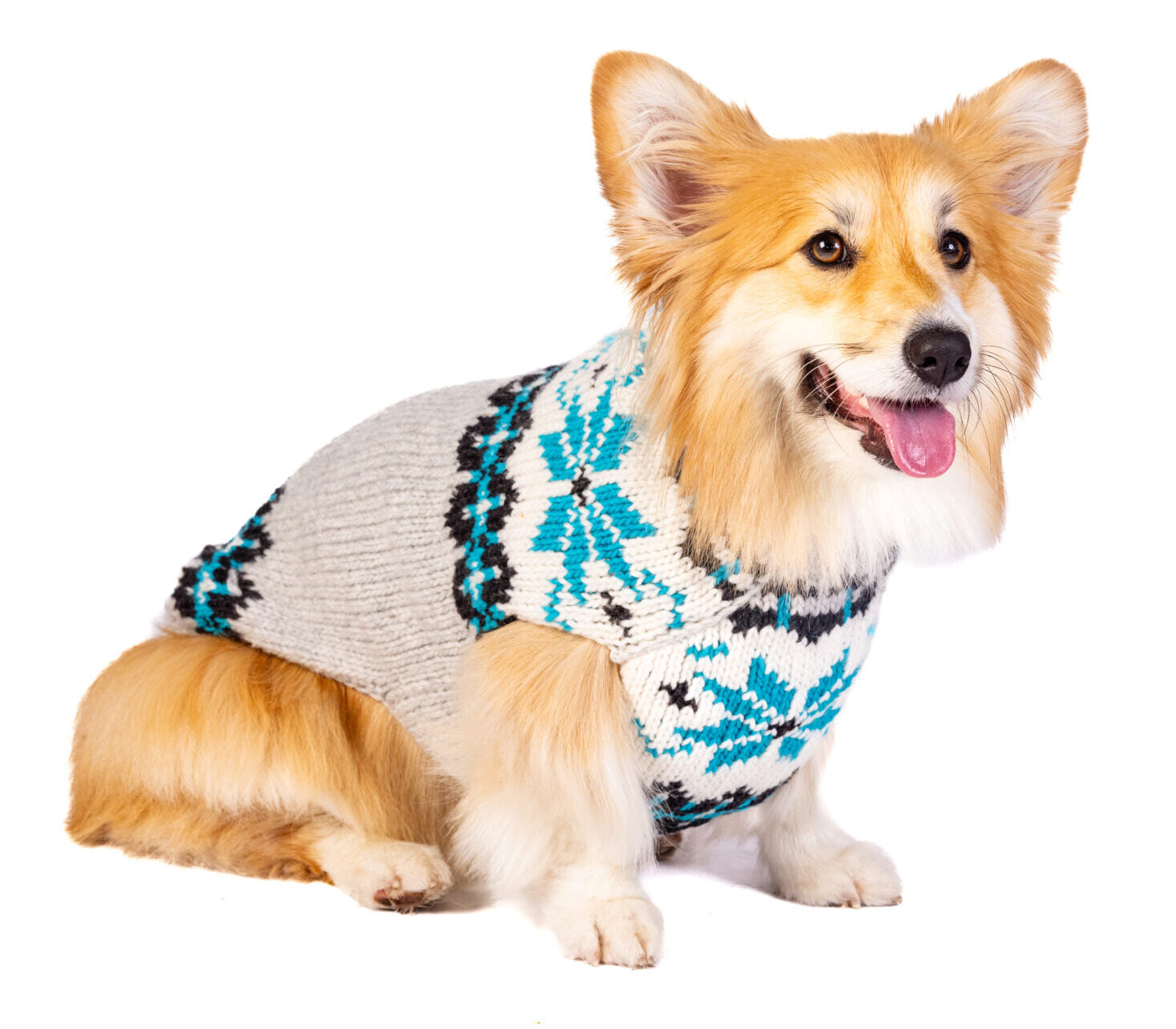 Dog Sweater Frost