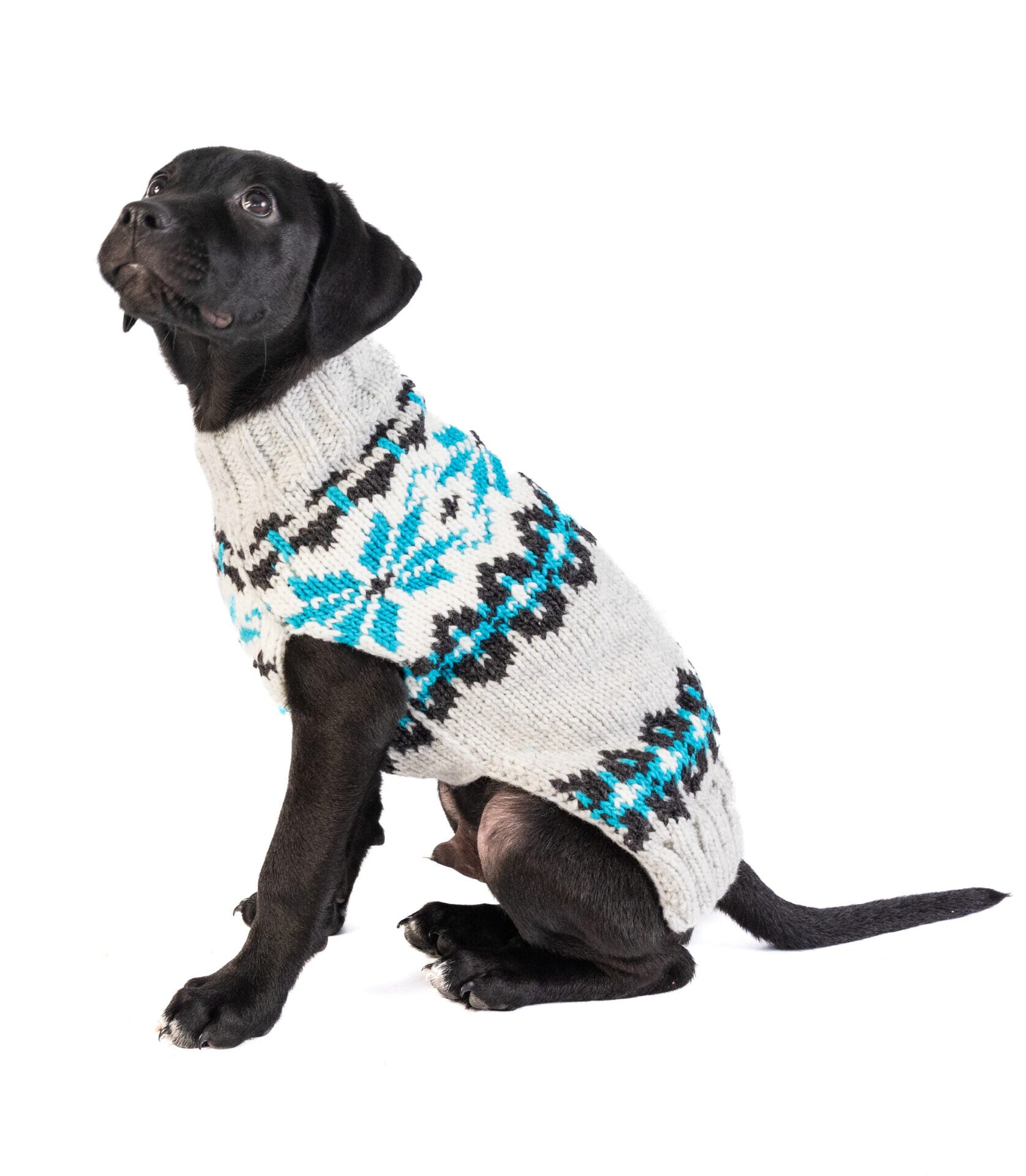 Dog Sweater Frost