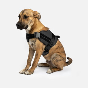 Silver Paw - Harness Heavy Duty Black