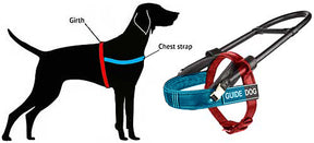 DT Guide Light - Mobility & Guide Dog Harness