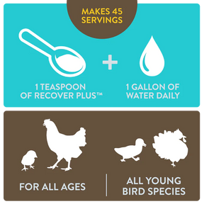 Perdue Recovery Plus for Chickens Makes 45 Gallons