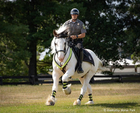 Breyer -  Legend Kentucky Horse Park Mounted Police Horse