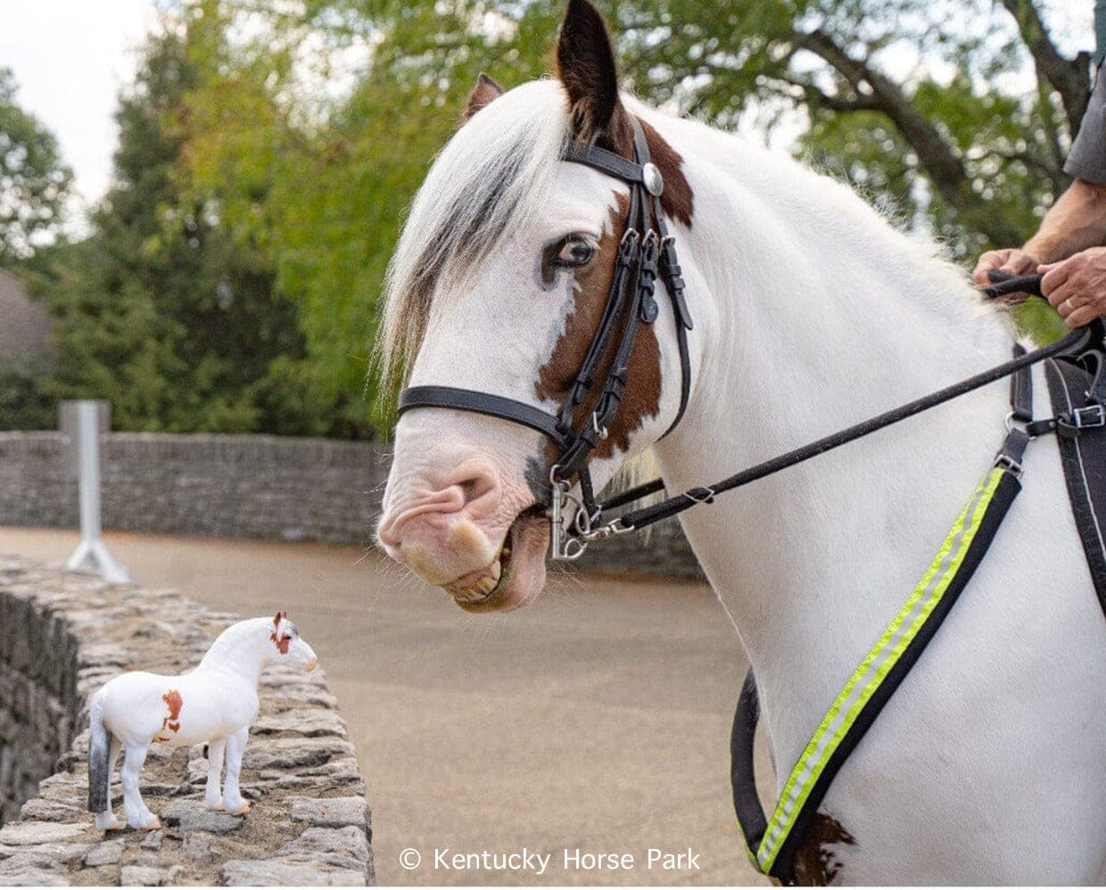 Breyer -  Legend Kentucky Horse Park Mounted Police Horse