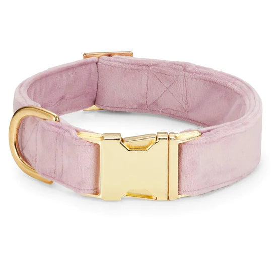 Dog Collar Velvet Lilac